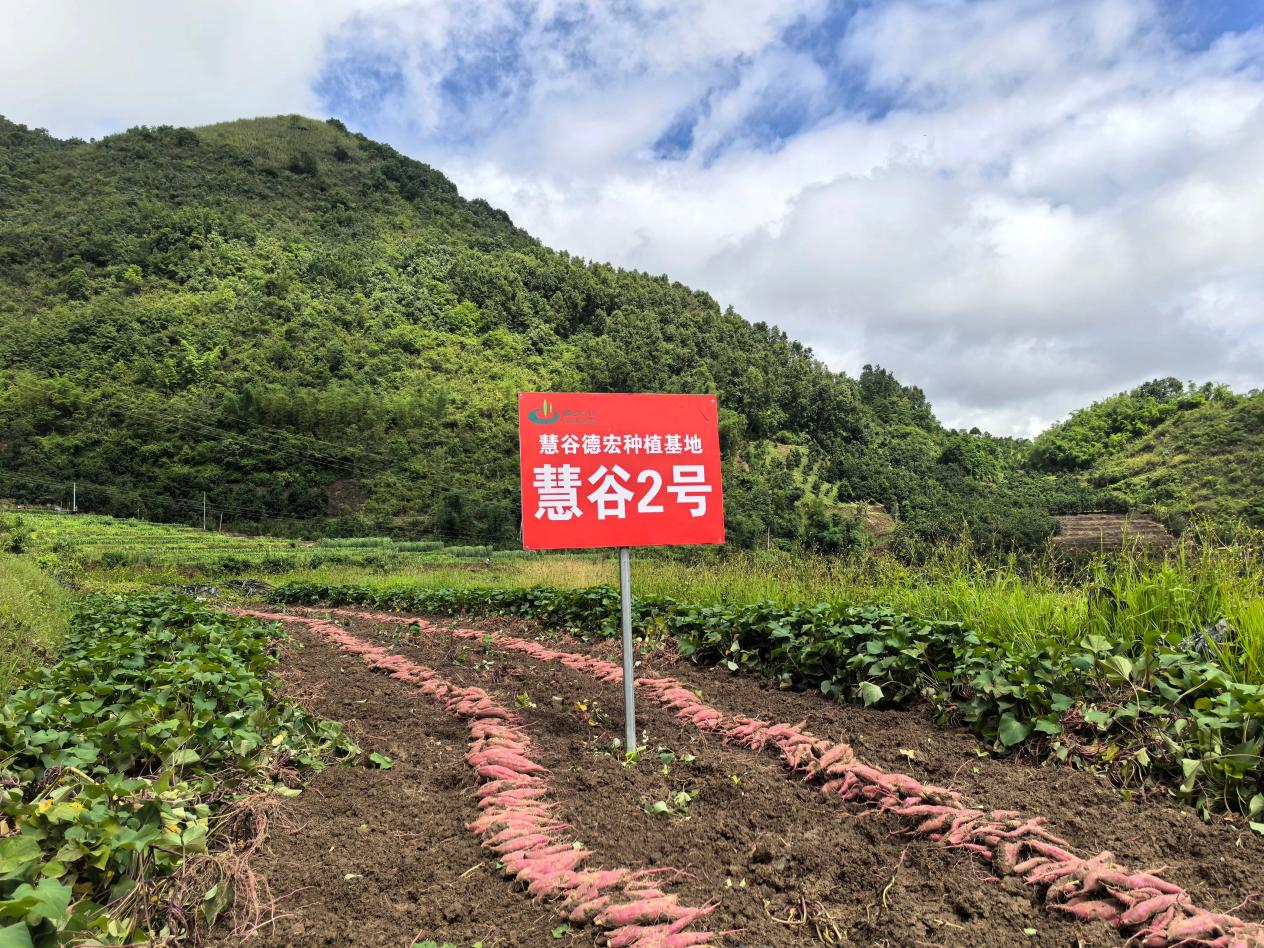 ��ҳ- �Ϲ�NG28�������ֹٷ���վ