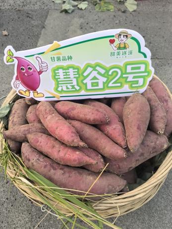 ��ҳ- �Ϲ�NG28�������ֹٷ���վ