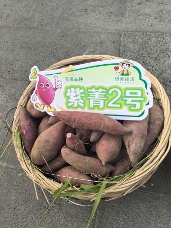 ��ҳ- �Ϲ�NG28�������ֹٷ���վ
