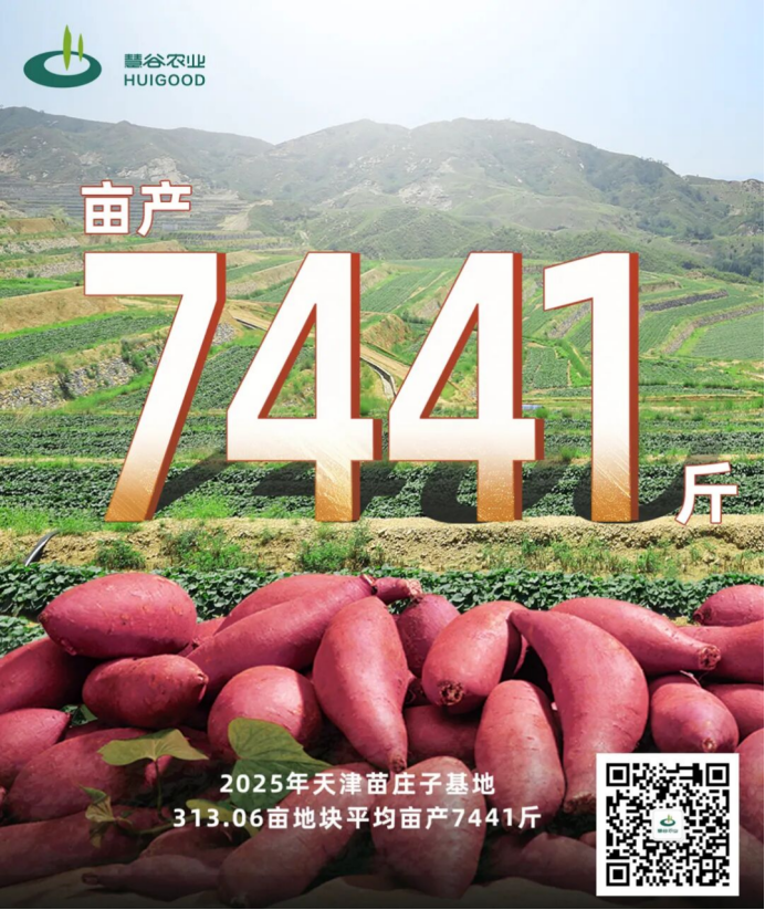 ��ҳ- �Ϲ�NG28�������ֹٷ���վ