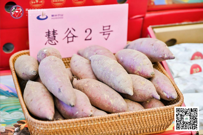 ��ҳ- �Ϲ�NG28�������ֹٷ���վ
