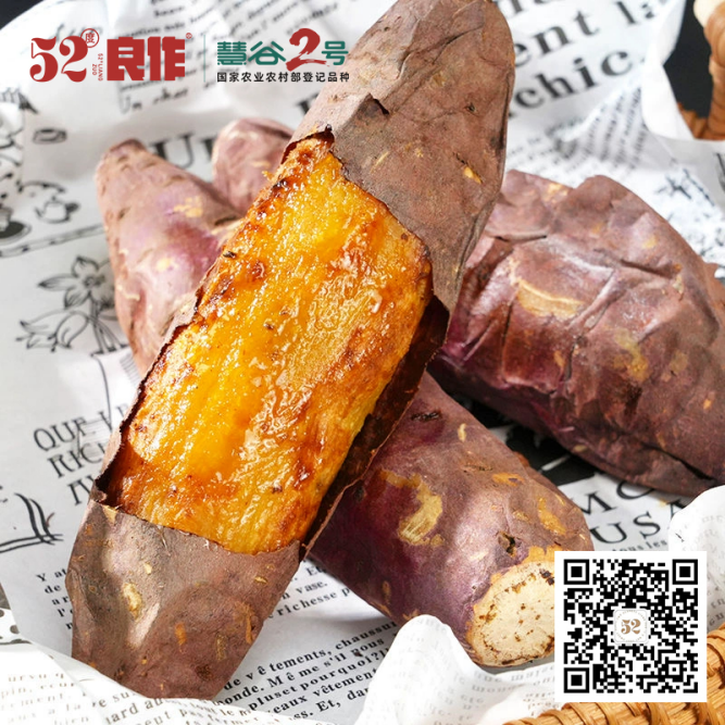 ��ҳ- �Ϲ�NG28�������ֹٷ���վ