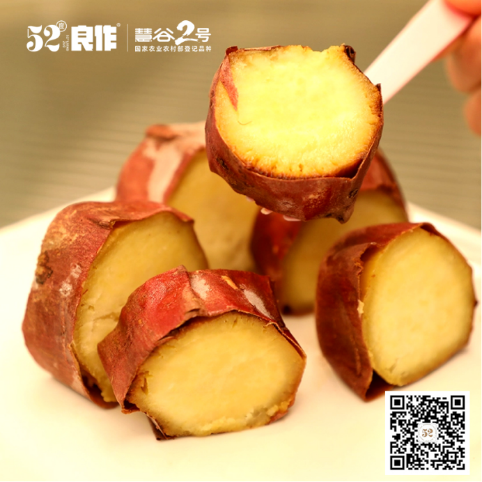 ��ҳ- �Ϲ�NG28�������ֹٷ���վ