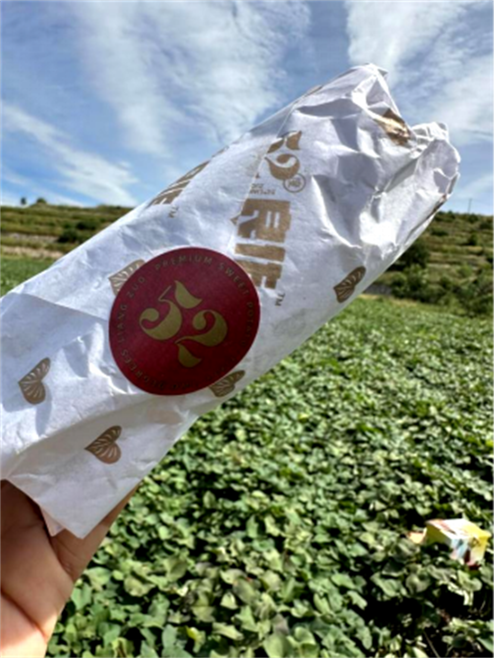 ��ҳ- �Ϲ�NG28�������ֹٷ���վ