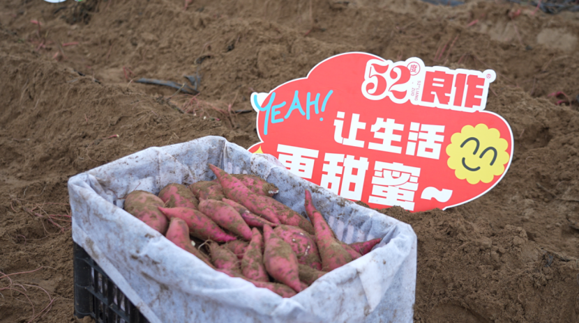 ��ҳ- �Ϲ�NG28�������ֹٷ���վ