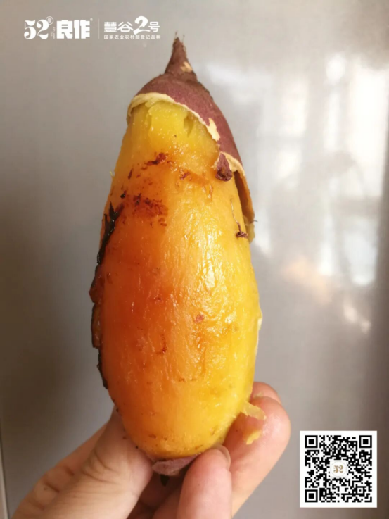 ��ҳ- �Ϲ�NG28�������ֹٷ���վ