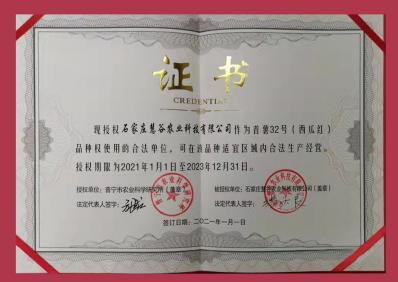 ��ҳ- �Ϲ�NG28�������ֹٷ���վ