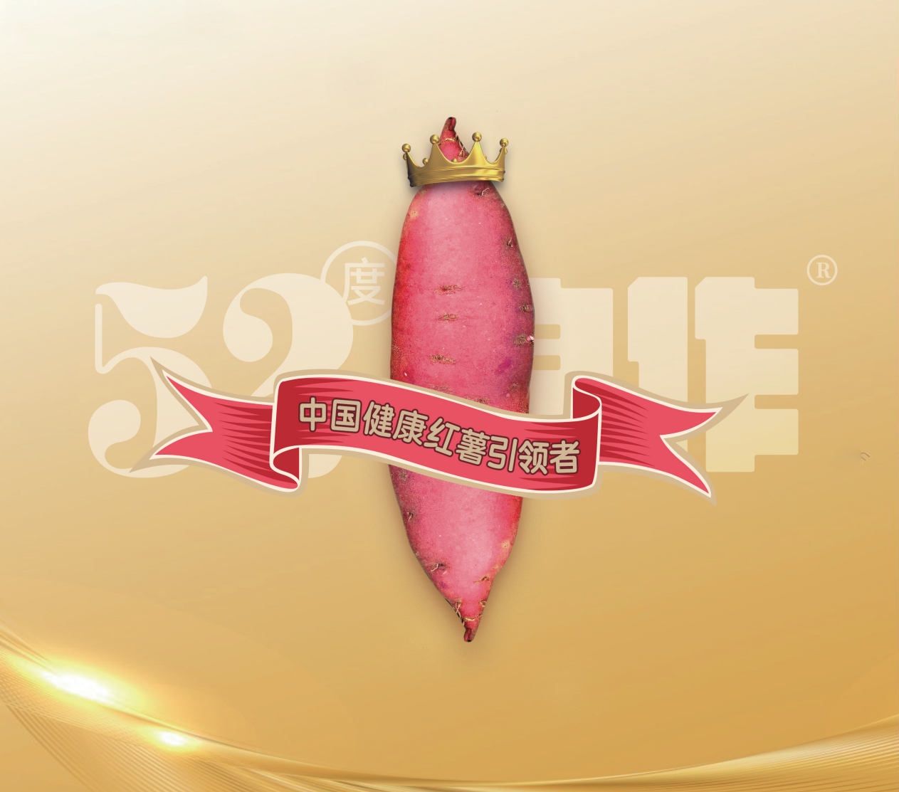 ��ҳ- �Ϲ�NG28�������ֹٷ���վ