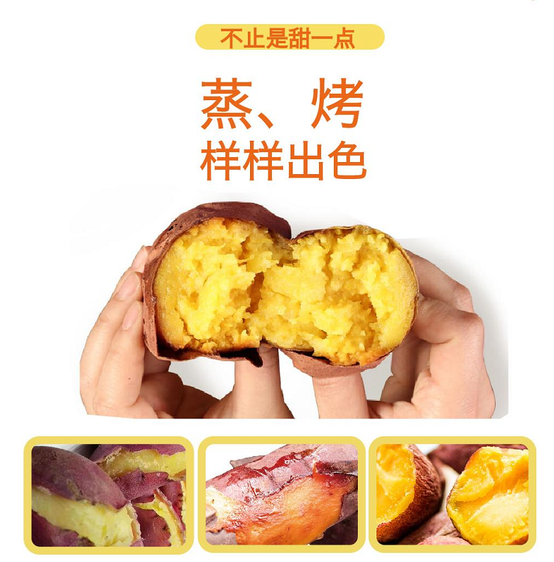 ��ҳ- �Ϲ�NG28�������ֹٷ���վ